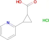 2-(pyridin-2-yl)cyclopropane-1-carboxylic acid hydrochloride
