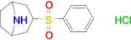 3-(phenylsulfonyl)-8-azabicyclo[3.2.1]octane hydrochloride