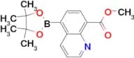 Methyl 5-(4,4,5,5-tetramethyl-1,3,2-dioxaborolan-2-yl)quinoline-8-carboxylate