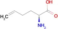 (S)-2-Aminohex-5-enoic acid