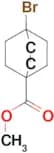 METHYL 4-BROMOBICYCLO[2.2.2]OCTANE-1-CARBOXYLATE