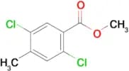 METHYL 2,5-DICHLORO-4-METHYLBENZOATE