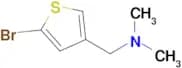 1-(5-BROMOTHIOPHEN-3-YL)-N,N-DIMETHYLMETHANAMINE