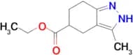 ETHYL 3-METHYL-4,5,6,7-TETRAHYDRO-2H-INDAZOLE-5-CARBOXYLATE