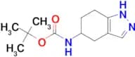 TERT-BUTYL (4,5,6,7-TETRAHYDRO-1H-INDAZOL-5-YL)CARBAMATE
