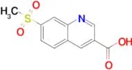 7-(METHYLSULFONYL)QUINOLINE-3-CARBOXYLIC ACID