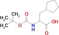 BOC-β-CYCLOPENTYL-DL-ALANINE