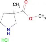 METHYL 3-METHYLPYRROLIDINE-3-CARBOXYLATE HCL