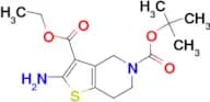 ETHYL 2-AMINO-5-BOC-6,7-DIHYDRO-4H-THIENO[3,2-C]PYRIDINE-3-CARBOXYLATE