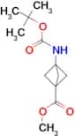 METHYL 3-([(TERT-BUTOXY)CARBONYL]AMINO)BICYCLO[1.1.1]PENTANE-1-CARBOXYLATE