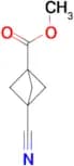 METHYL 3-CYANOBICYCLO[1.1.1]PENTANE-1-CARBOXYLATE
