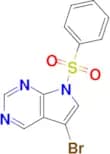 5-BROMO-7-(PHENYLSULFONYL)-7H-PYRROLO[2,3-D]PYRIMIDINE