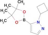 1-CYCLOBUTYL-PYRAZOLE-5-BORONIC ACID PINACOL ESTER