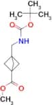 3-(BOC-AMINOMETHYL)-BICYCLO[1.1.1]PENTANE-1-CARBOXYLIC ACID METHYL ESTER