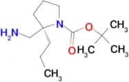 (2R)-1-BOC-2-PROPYLPYRROLIDINE-2-METHANAMINE