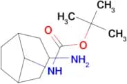TERT-BUTYL (3-AMINOBICYCLO[3.2.1]OCTAN-8-YL)CARBAMATE