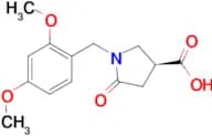 (3S)-1-[(2,4-DIMETHOXYPHENYL)METHYL]-5-OXOPYRROLIDINE-3-CARBOXYLIC ACID