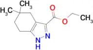 ETHYL 5,5-DIMETHYL-4,5,6,7-TETRAHYDRO-1H-INDAZOLE-3-CARBOXYLATE
