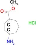 METHYL 5-AMINOBICYCLO[3.2.2]NONANE-1-CARBOXYLATE HCL