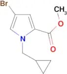 4-BROMO-1-CYCLOPROPYLMETHYL-1H-PYRROLE-2-CARBOXYLIC ACID METHYL ESTER
