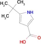 5-TERT-BUTYL-1H-PYRROLE-3-CARBOXYLIC ACID