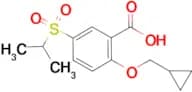 2-(CYCLOPROPYLMETHOXY)-5-(ISOPROPYLSULFONYL)BENZOIC ACID