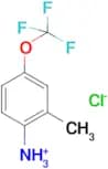 2-METHYL-4-(TRIFLUOROMETHOXY)BENZENAMINIUM CHLORIDE