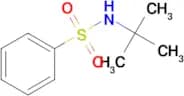N-(TERT-BUTYL)BENZENESULFONAMIDE