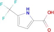 5-TRIFLUOROMETHYL-1H-PYRROLE-2-CARBOXYLIC ACID