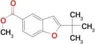 2-tert-Butyl-benzofuran-5-carboxylic acid methyl ester