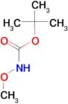tert-butyl methoxycarbamate
