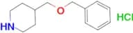 4-[(benzyloxy)methyl]piperidine hydrochloride
