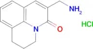 6-(aminomethyl)-2,3-dihydro-1H,5H-pyrido[3,2,1-ij]quinolin-5-one hydrochloride