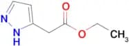 (1H-PYRAZOL-3-YL)-ACETIC ACID ETHYL ESTER