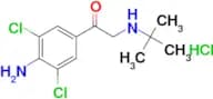 1-(4-AMINO-3,5-DICHLORO-PHENYL)-2-TERT-BUTYLAMINO-ETHANONE HCL