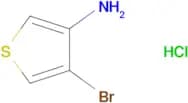 4-BROMOTHIOPHEN-3-AMINE HCL