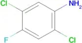 2,5-DICHLORO-4-FLUOROANILINE