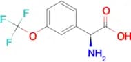 (2S)-2-AMINO-2-[3-(TRIFLUOROMETHOXY)PHENYL]ACETIC ACID