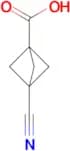 3-cyanobicyclo[1.1.1]pentane-1-carboxylic acid