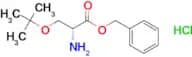(R)-Benzyl 2-amino-3-(tert-butoxy)propanoate hydrochloride