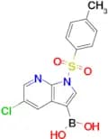 [5-chloro-1-(4-methylbenzenesulfonyl)-1H-pyrrolo[2,3-b]pyridin-3-yl]boronic acid