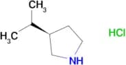(3R)-3-(propan-2-yl)pyrrolidine hydrochloride