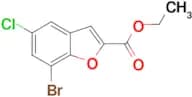 ethyl 7-bromo-5-chloro-1-benzofuran-2-carboxylate