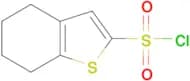 4,5,6,7-tetrahydro-1-benzothiophene-2-sulfonyl chloride