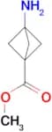 methyl 3-aminobicyclo[1.1.1]pentane-1-carboxylate