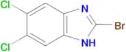 2-bromo-5,6-dichloro-1H-1,3-benzodiazole