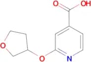 2-(oxolan-3-yloxy)pyridine-4-carboxylic acid