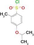 2-methyl-4-(propan-2-yloxy)benzene-1-sulfonyl chloride