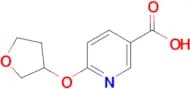 6-((tetrahydrofuran-3-yl)oxy)nicotinic acid