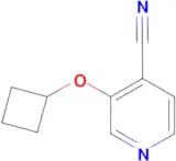 3-cyclobutoxyisonicotinonitrile